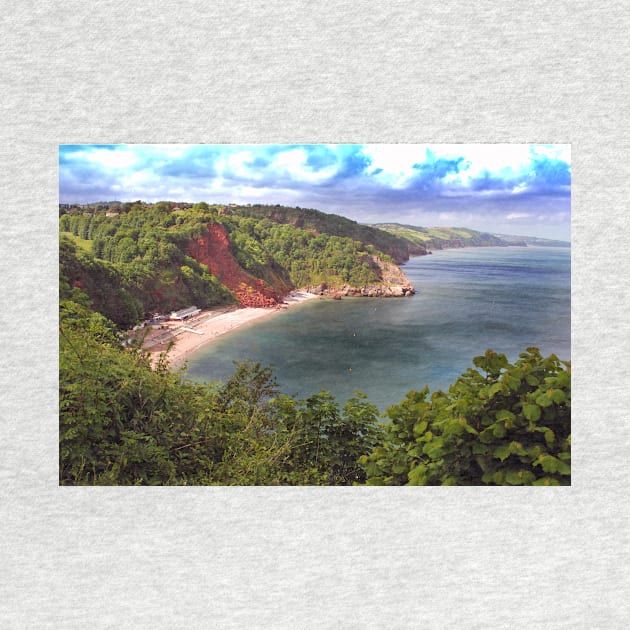 Oddicombe Beach Babbacombe Bay Devon by AndyEvansPhotos